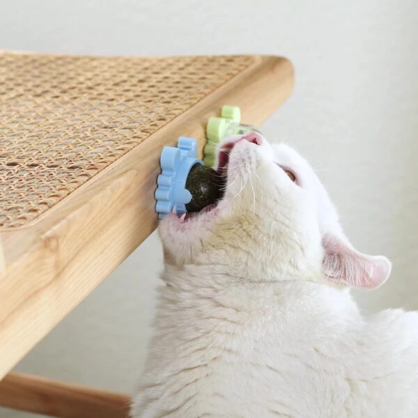 Natural Catnip Ball Stickon Wall Cat Toy Treats Healthy Natural Removes Hair Balls Pet Items Cats Mint Snack Pet Cat Accessories