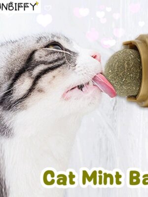 Natural Catnip Ball Stickon Wall Cat Toy Treats Healthy Natural Removes Hair Balls Pet Items Cats Mint Snack Pet Cat Accessories