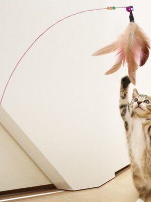 Pet Cat Toy Plush Funny Play Cat Toys Ring Bell Happy Cat's Accessories High Quality Good Elastic Rope Toy pet supplies cat toys