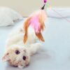 Pet Cat Toy Plush Funny Play Cat Toys Ring Bell Happy Cat's Accessories High Quality Good Elastic Rope Toy pet supplies cat toys