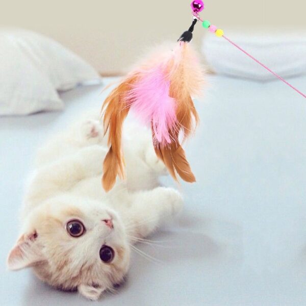 Pet Cat Toy Plush Funny Play Cat Toys Ring Bell Happy Cat's Accessories High Quality Good Elastic Rope Toy pet supplies cat toys