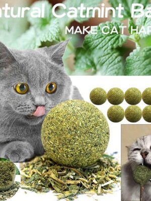 Pet Catnip Toys Edible Catnip Ball Safety Healthy Cat Mint Cats Home Chasing Game Toy Products Clean Teeth The Stomach Catmint