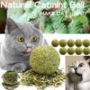 Pet Catnip Toys Edible Catnip Ball Safety Healthy Cat Mint Cats Home Chasing Game Toy Products Clean Teeth The Stomach Catmint