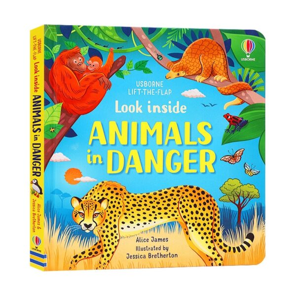Random 19 Books Usborne Lift-the-Flap Questions and Answers Parent-child Interaction Education Book Child's Birthday Kid's Gifts